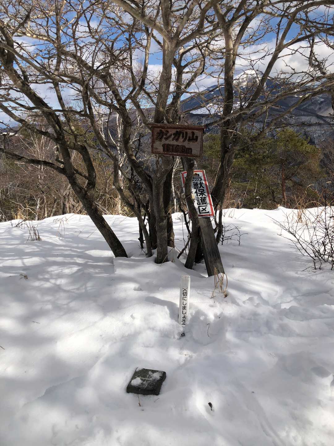 今回は無事三角点を発掘😍