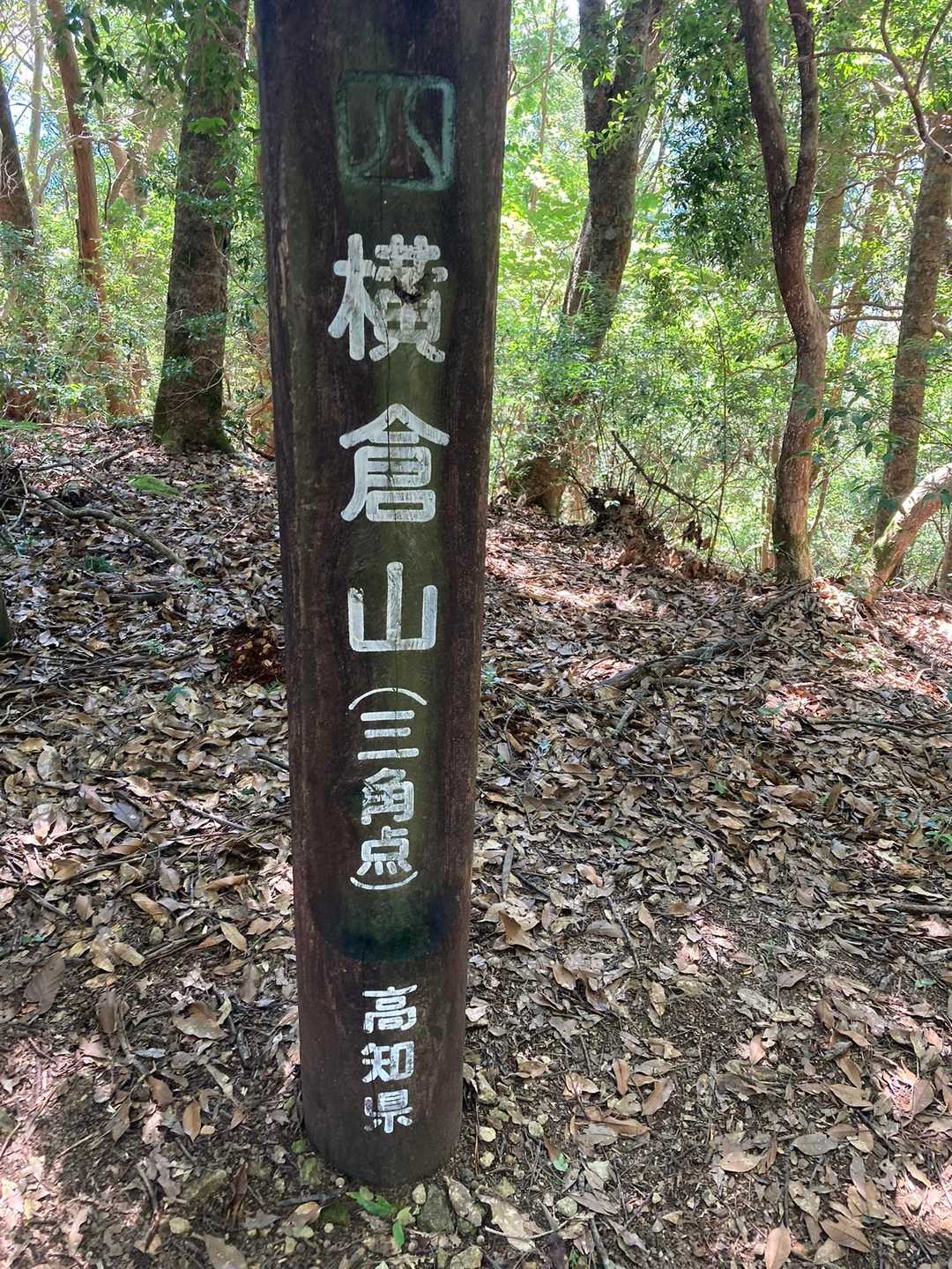 到着🤗