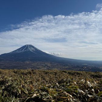 富士裾野でかっ