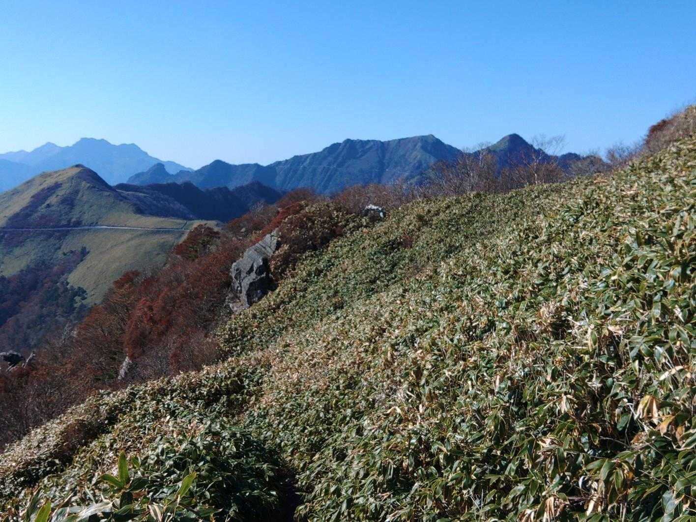 東黒森-伊予富士 往復コースの写真