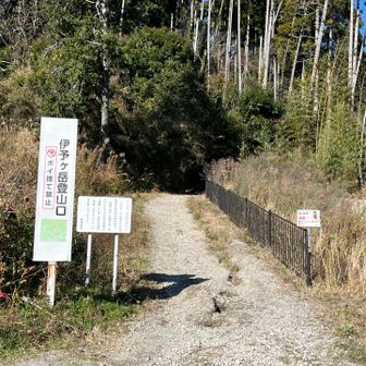 キレイに整備された道からスタート