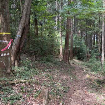 ここから下ります🚶💨↗️