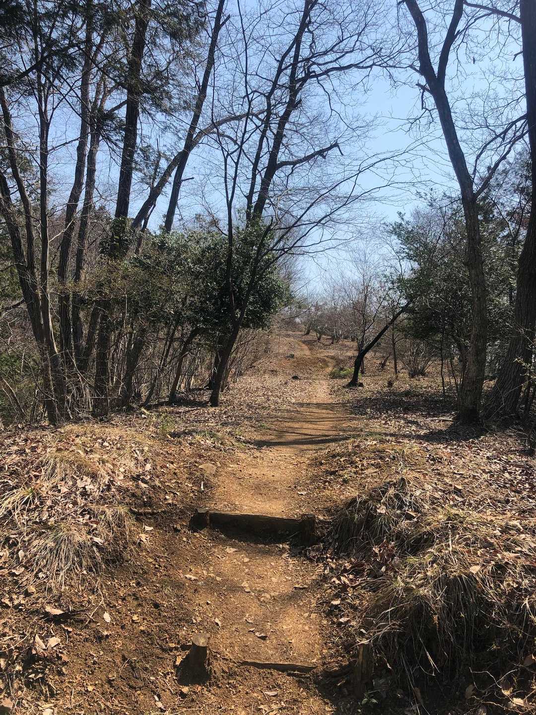 要害山への気持ちいいロード