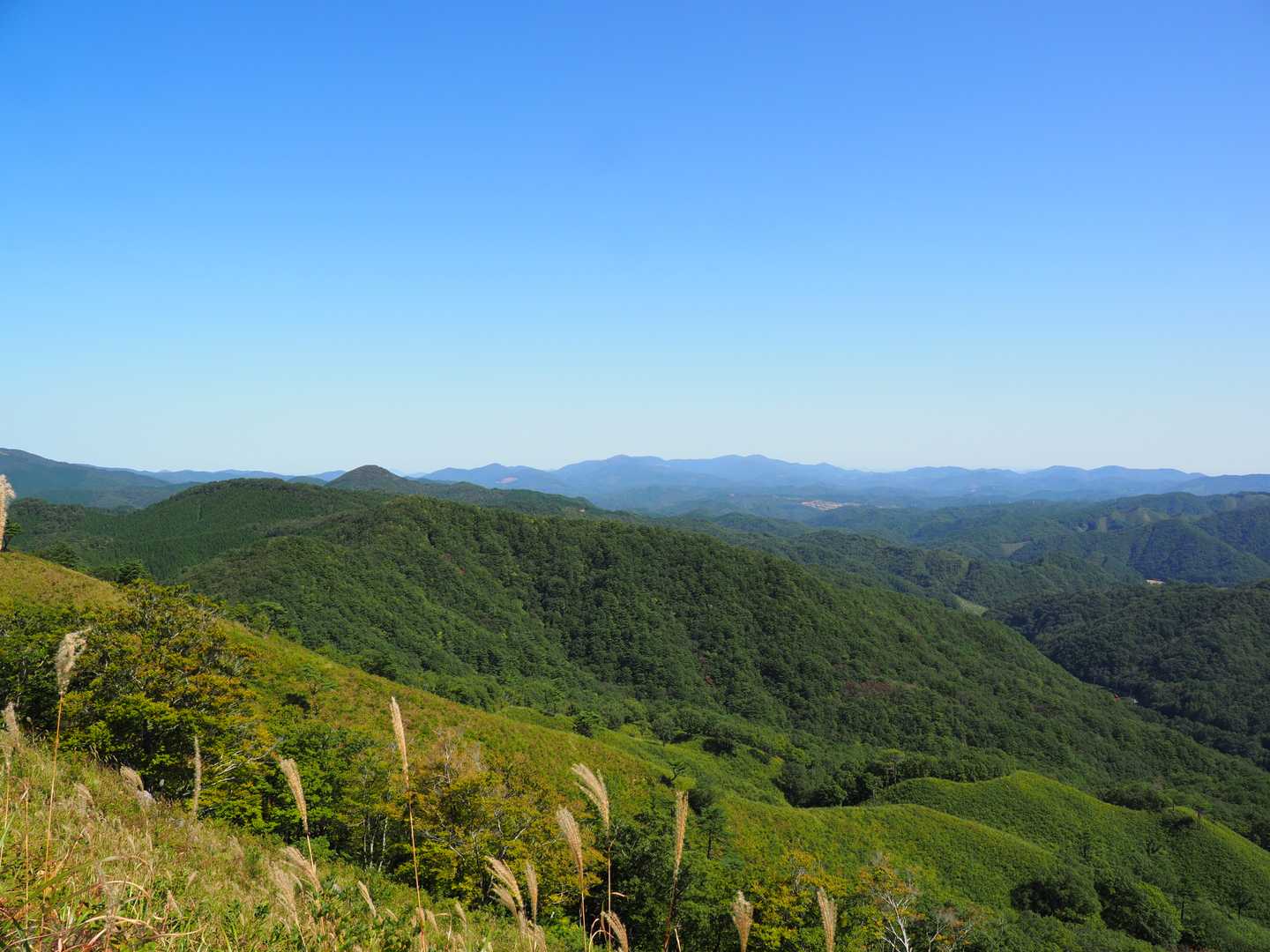 日影がないのでじっと汗がでてきますが、風が吹き抜けるととても気持ち良いです。