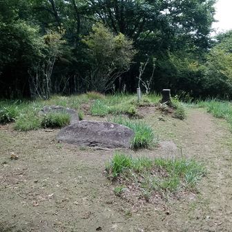 柳沢の頭:見晴らしはない