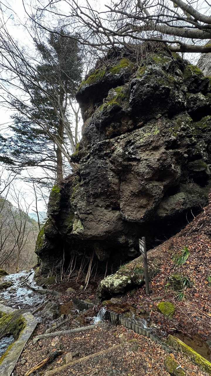 霊山 の写真 3