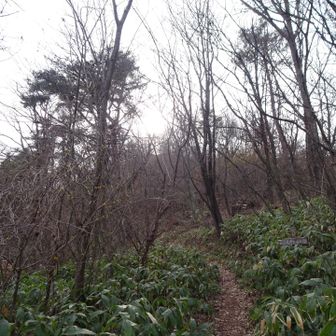 ようやく最後のピークへ