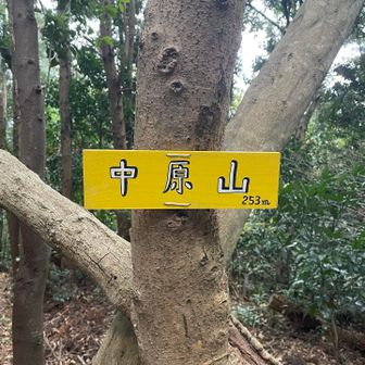 ピーク 山頂ｷﾀ━(ﾟ∀ﾟ)━!!!!!!!