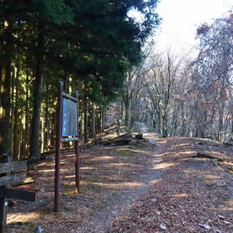 ここを右折して進みます。