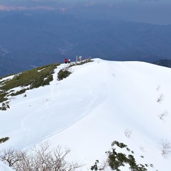 麦草岳にもどって