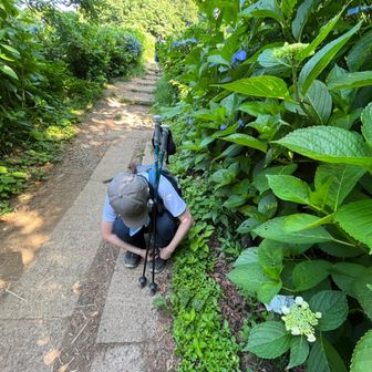 ポール女子さおり