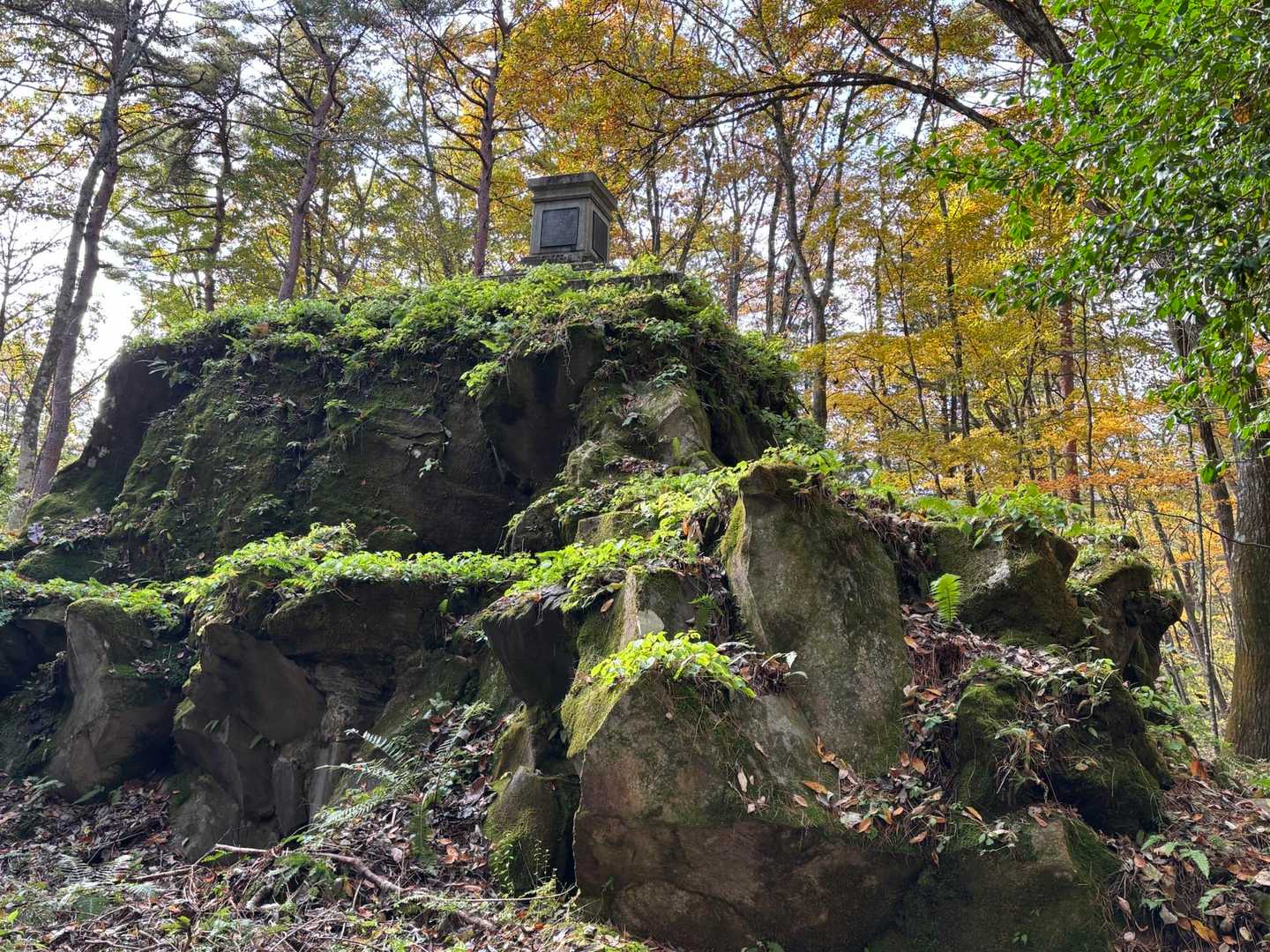 登り出しすぐのランドマーク辺りは、いつも怯えながら熊鈴じゃらじゃら鳴らし、なんで来ちゃったんだよー😭と後悔しながら歩く🥺
