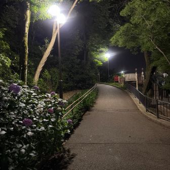 いーね夜わ