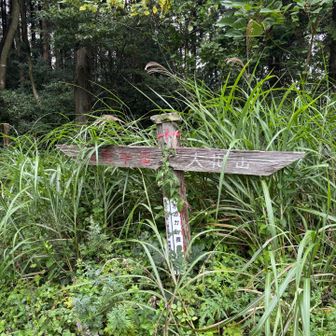 大花山を目指します