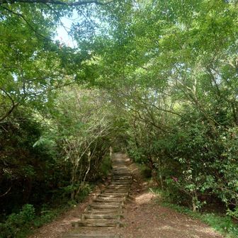 山頂へ向かう階段
