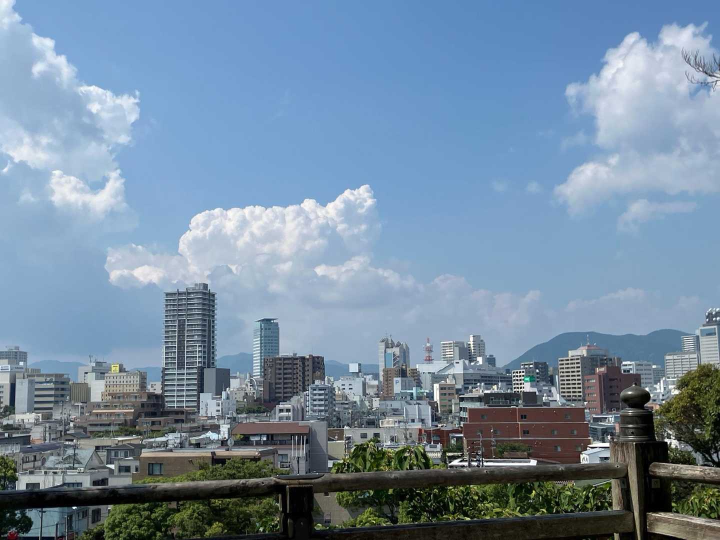 谷津山 往復コースの写真