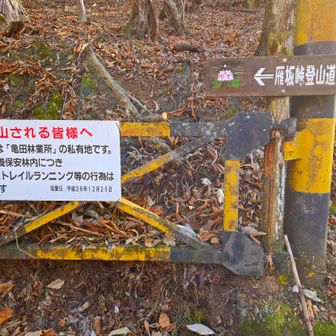 雁坂峠登山口の方も亀田林業の私有地だったのね…
