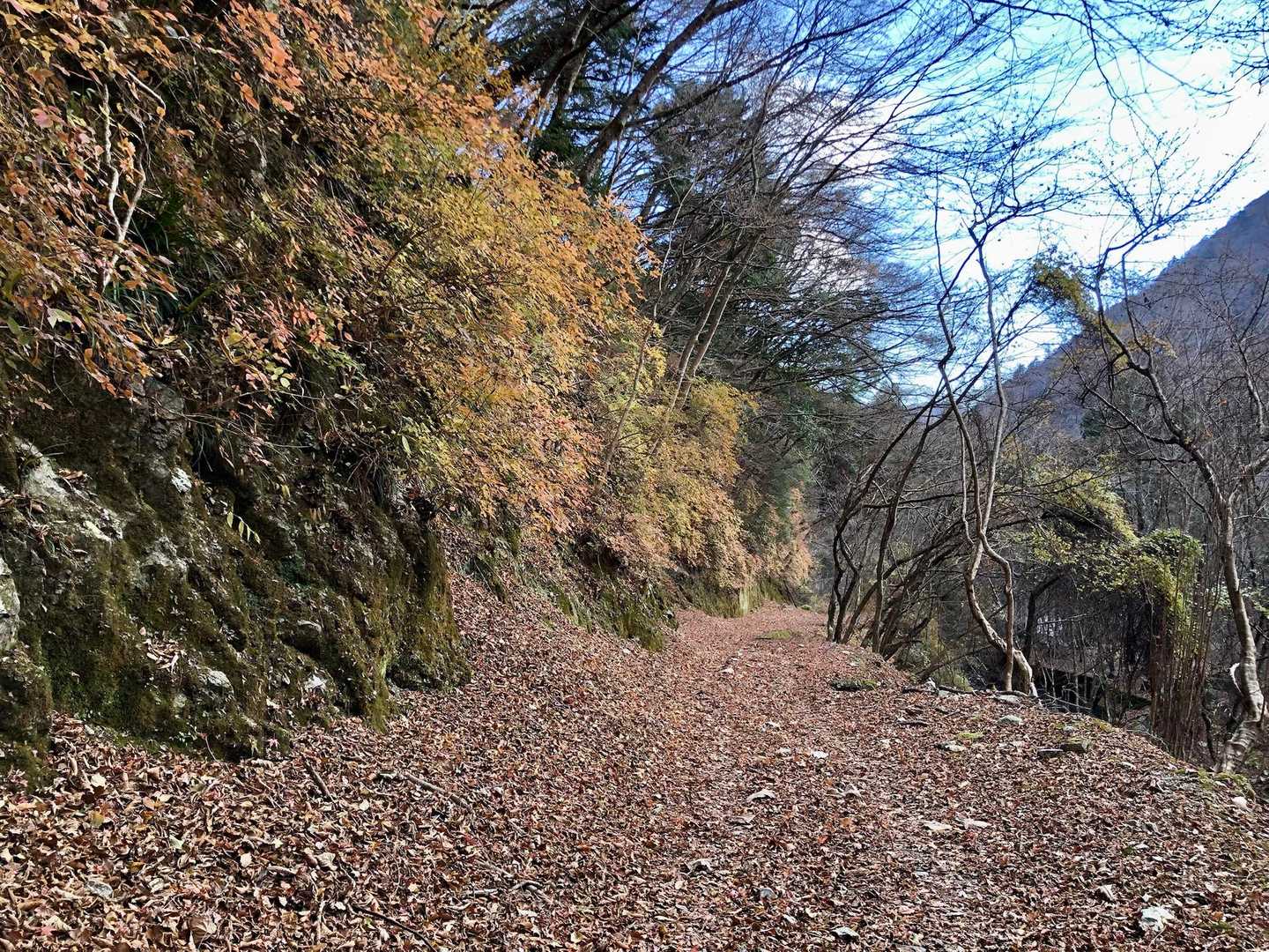 最後は葉っぱの絨毯を歩いてゴール