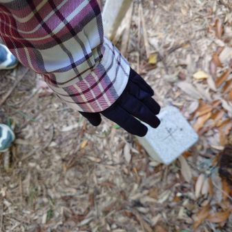 こちらは三角点あり