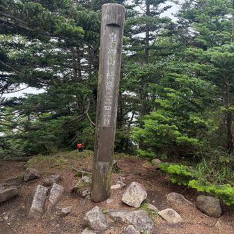 皇海山到着！噂通り展望•絶景はありません