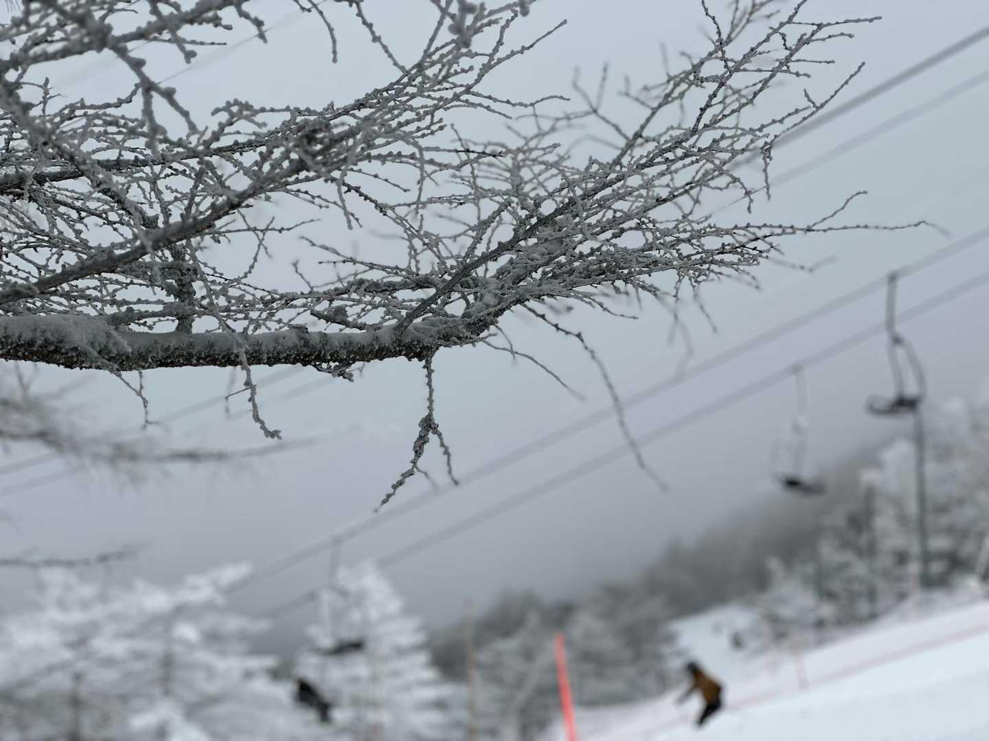 高峰マウンテンリゾートスキー場のリフトの脇を登っていきます
結構急登
友達疲れ切り  途中で脱落  笑