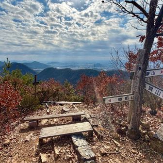 ベンチもあります