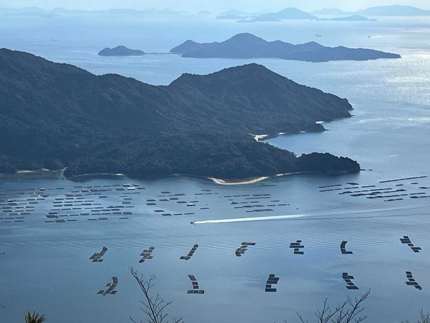 牡蠣🦪養殖のイカダがたくさん！
今日は牡蠣🦪鍋🍲にしようかなぁ☺️
