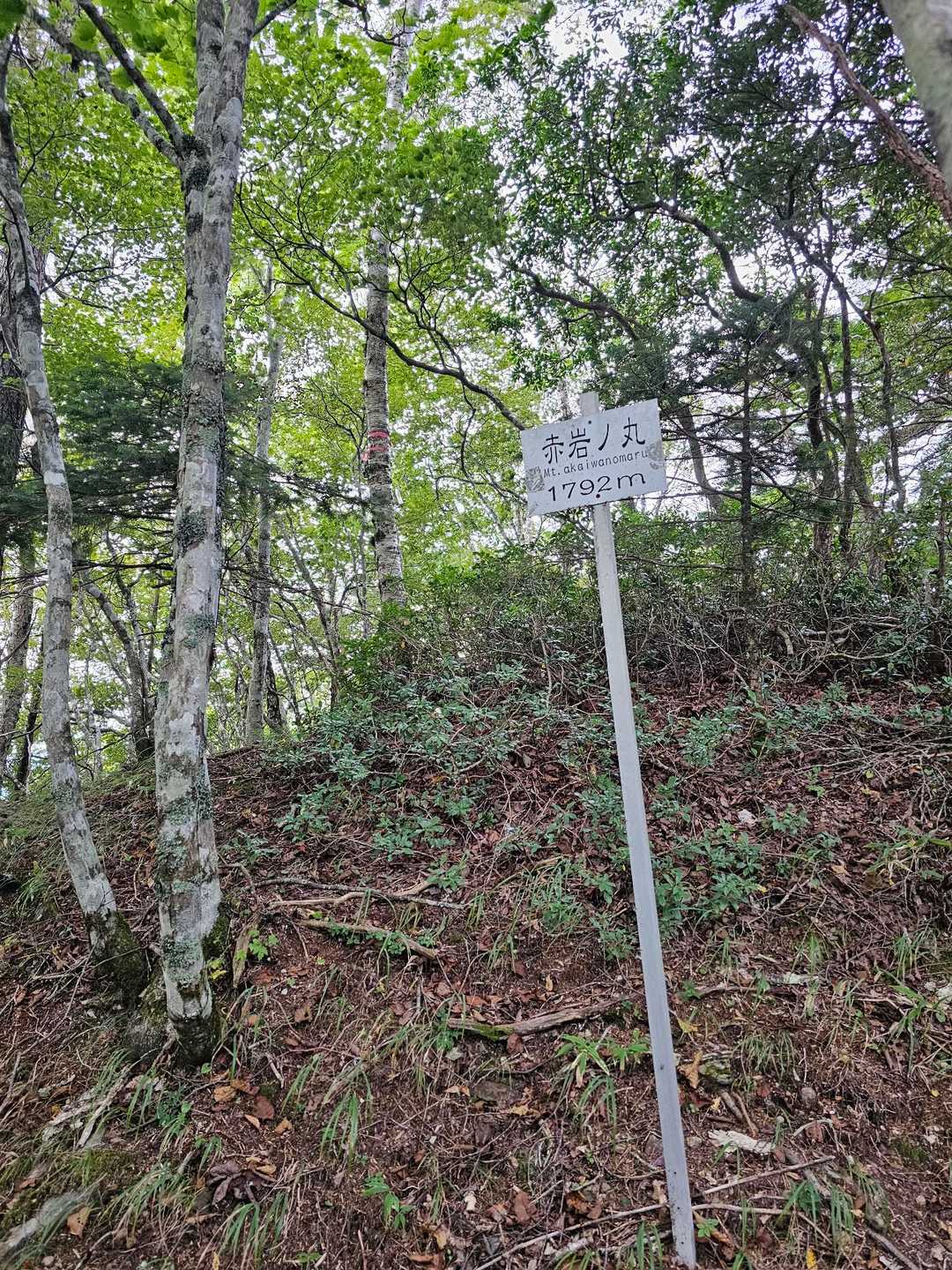 赤岩ノ丸-黒岳 往復コースの写真