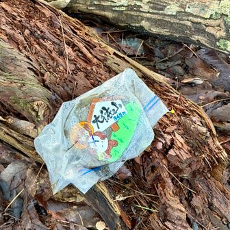 鉄塔からすぐに大依山山頂に着きました。