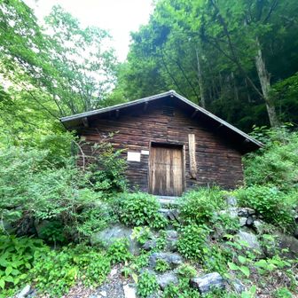 古さを感じるウソッコ避難小屋　
ネズミ🐀出没注意⚠️

トイレあり　
底抜けトイレ😅
