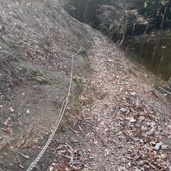 ロープをありがとうございます👏