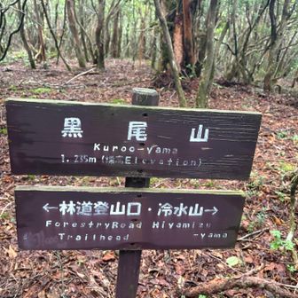 ここも展望はありません。