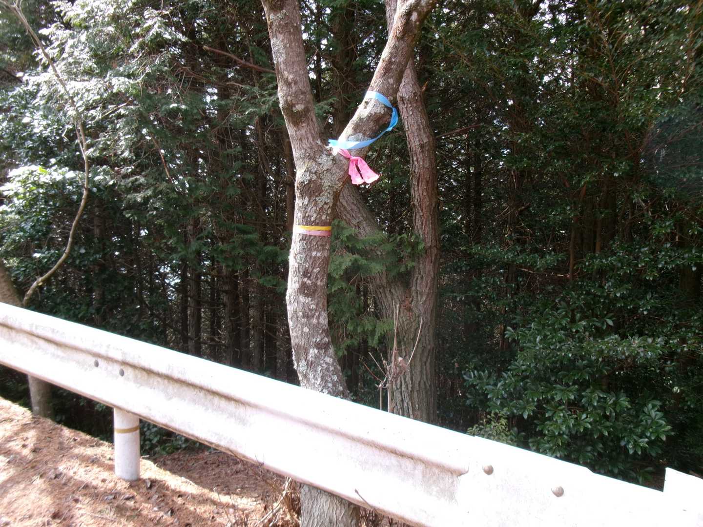 下山口入口