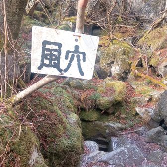 フォントがホラーコミック。