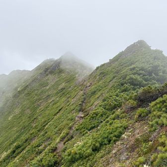 いい景色です