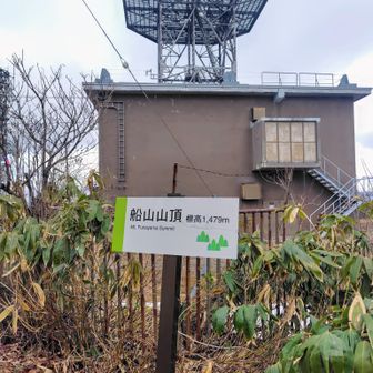 すぐに山頂です👏　山頂部全体がだだっ広くて、山頂感はまったくなかったです。また展望もまったくなかったです🤣