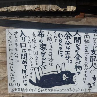 こちらには名物の猫🐱ちゃんが居ます！