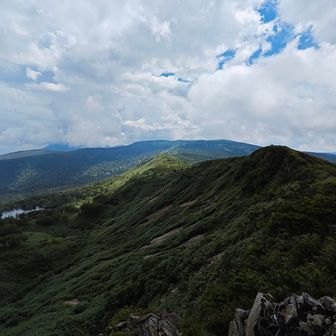 嶮岨森到着！