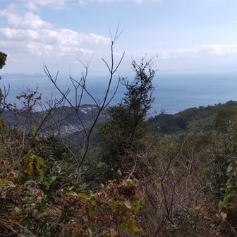 飯香の浦方面😄