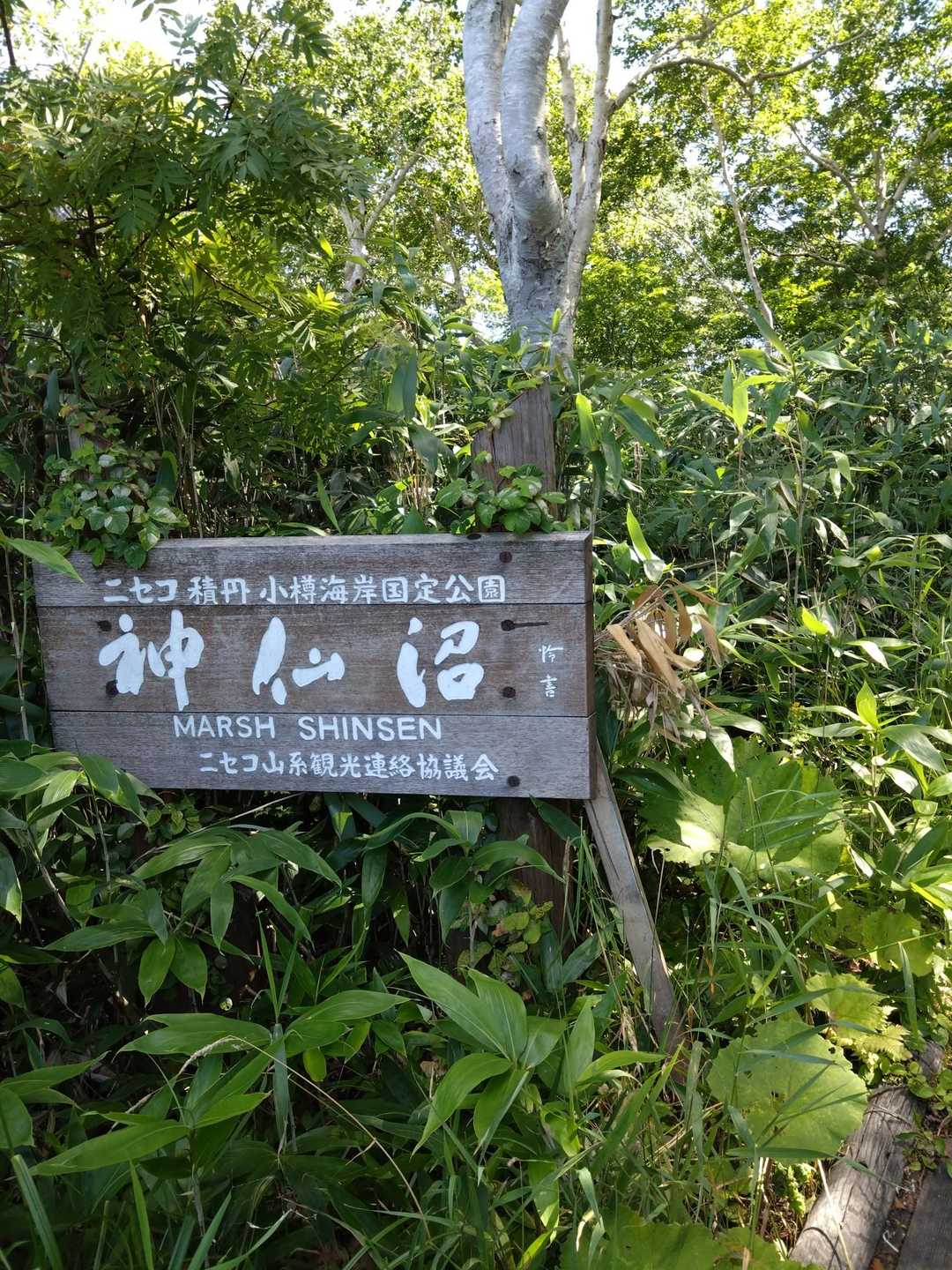 スタート