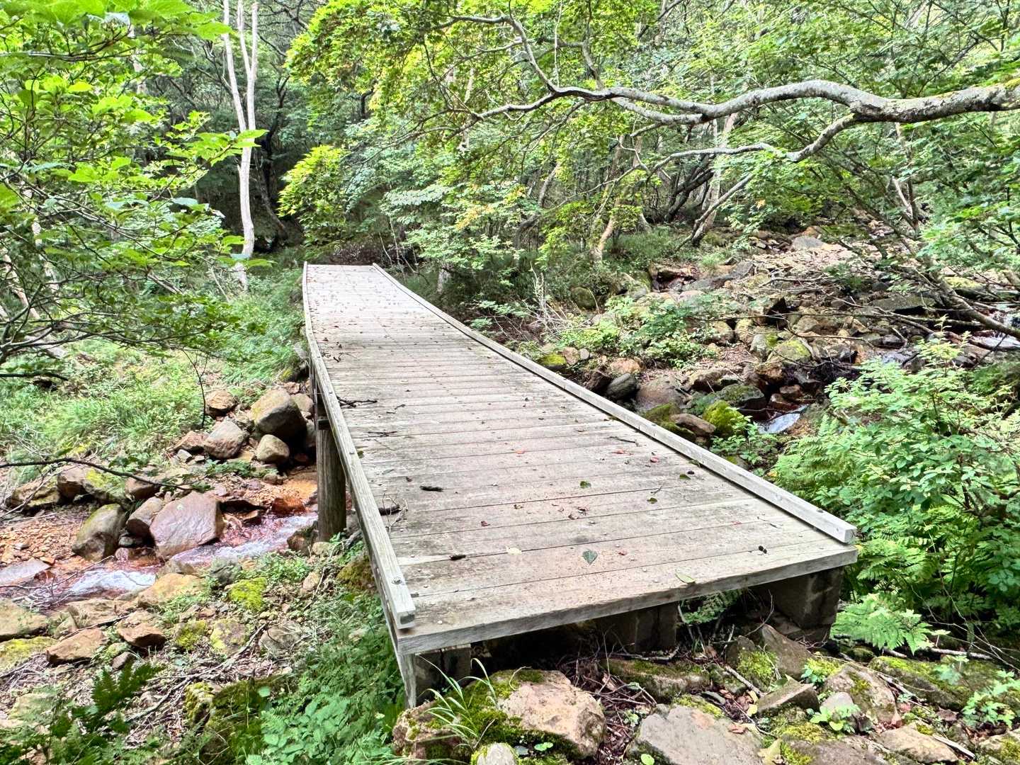 峠の茶屋登山口-茶臼岳-隠居倉-朝日の肩-朝日岳 周回コースの写真