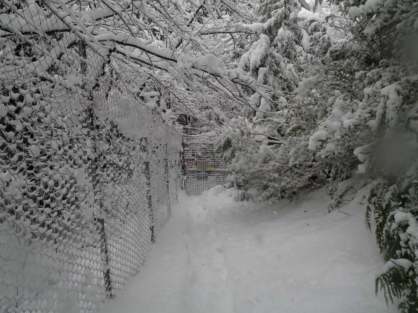 柵をあけて