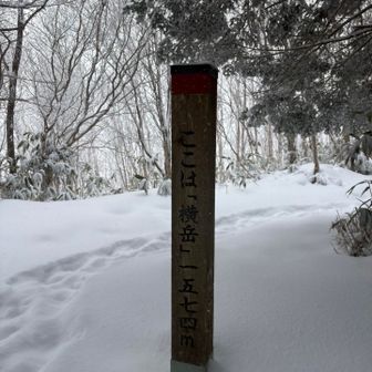 横岳に到着。
先行者の足跡は雪で埋もれてるので、歩くのちょっと大変💦。

この足あとは昨日のものなのか？