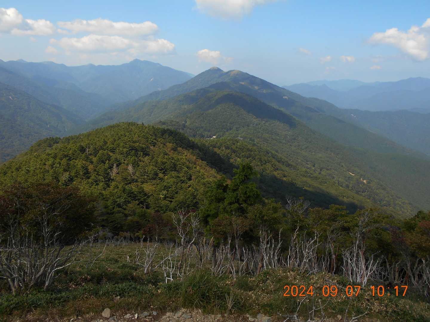 丸笹山 周回コースの写真