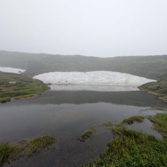 手前は姿見の池で、奥が雪原です✨