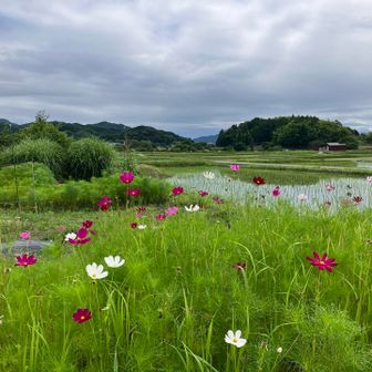いい風景♪