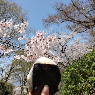 母のおにぎり(でかっ)