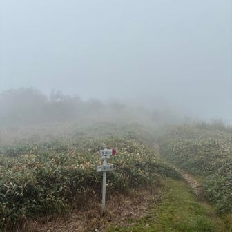 寒風山が見えない
