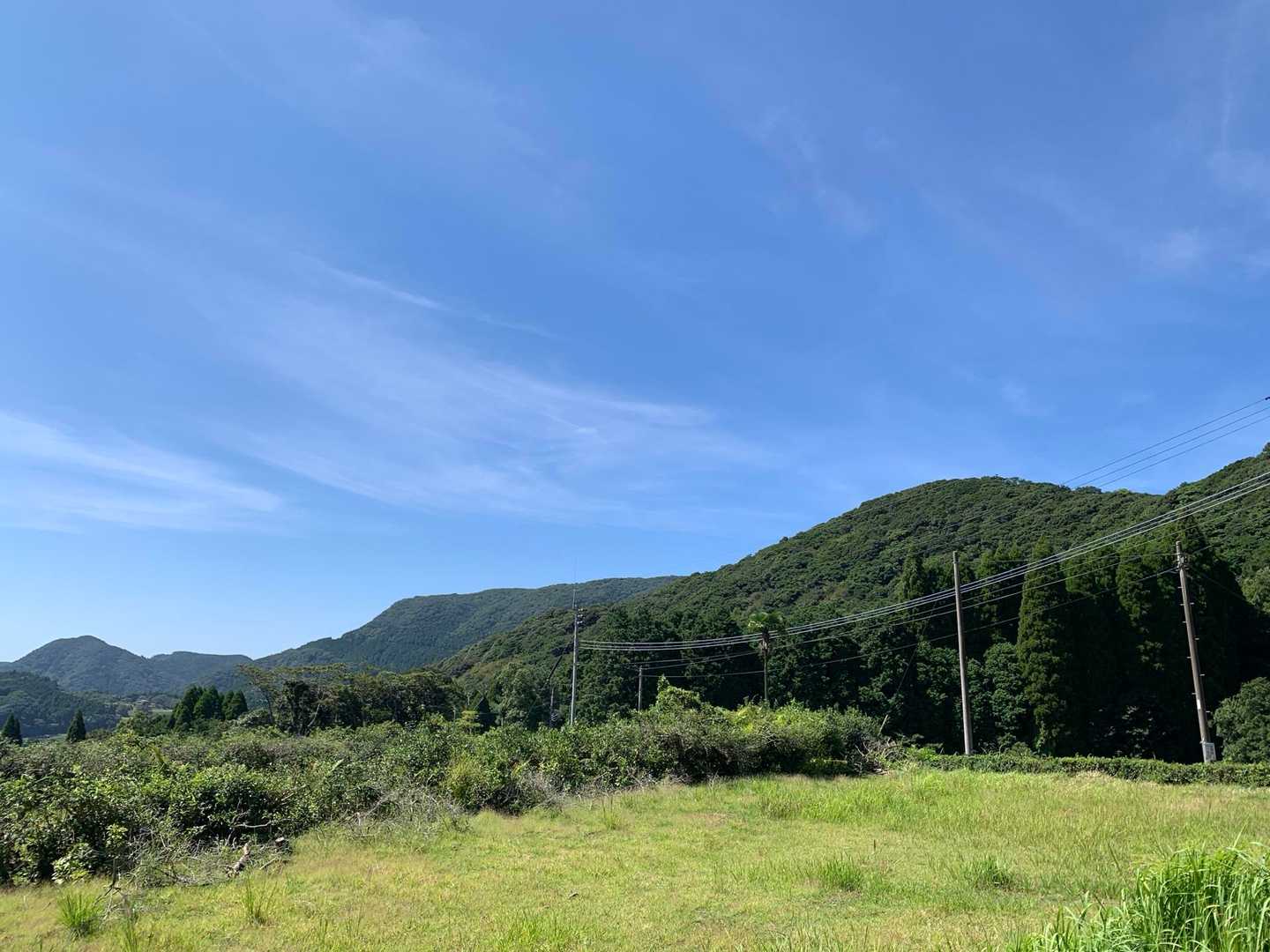 今日も良いお天気⤴️