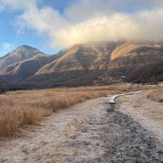 兎にも角にも大のほう